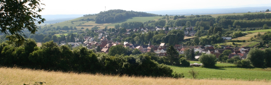 Panoramablick