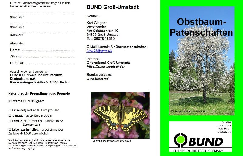 Foto: Baumpaten Flyer Seite 1