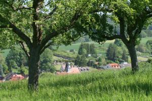 Foto: Obstbaumwiese "Buschel"