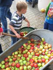 Äpfel waschen